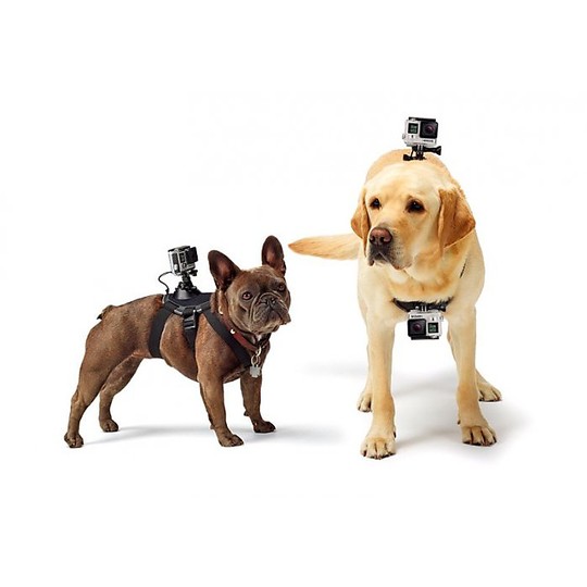 Adaptateur de harnais pour chien GoPro Fetch Vente en Ligne 