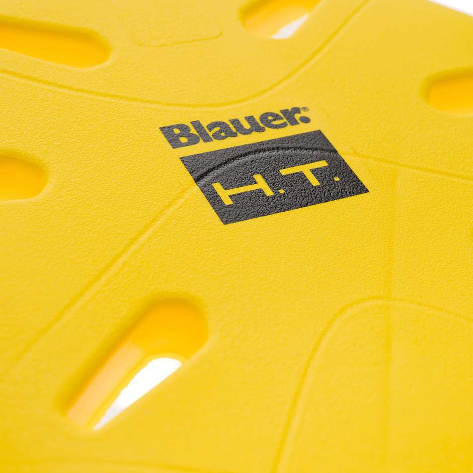 Blauer Level 2 Insertable Back Protection