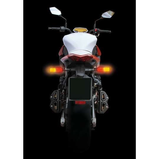 Coppia Indicatori Moto Multi-Led Posteriori Lampa Carbon