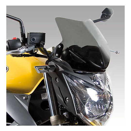 Cupolino Aerosport Barracuda Specifico per Yamaha XJ6