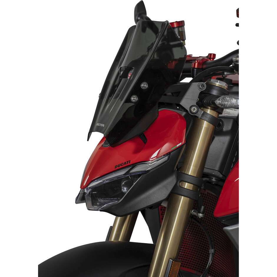 Cupolino Isotta Racing Sport per Ducati Streetfighter V2 Fumè Scuro