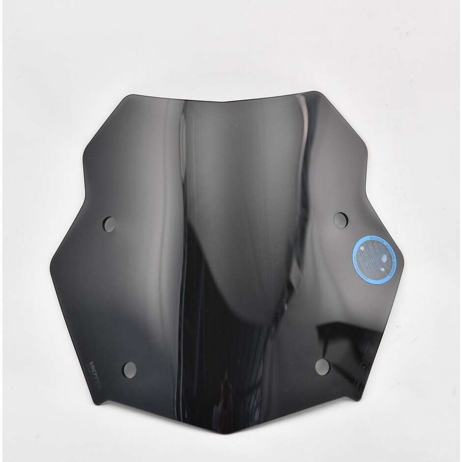 Cupolino Rally Per BMW R 1200 GS - R 1250 GS - R1200 taglia uni