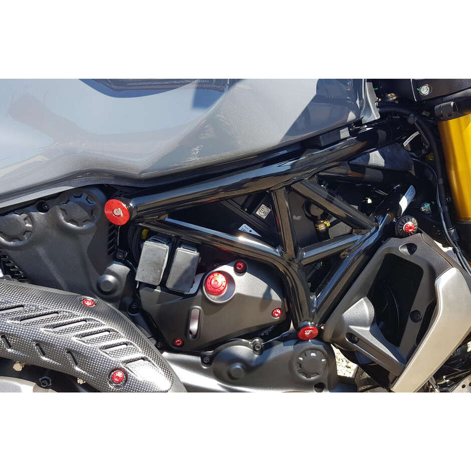 Ducati Monster 821 Rahmenkappen; 1200 CNC Racing TT335 Rot