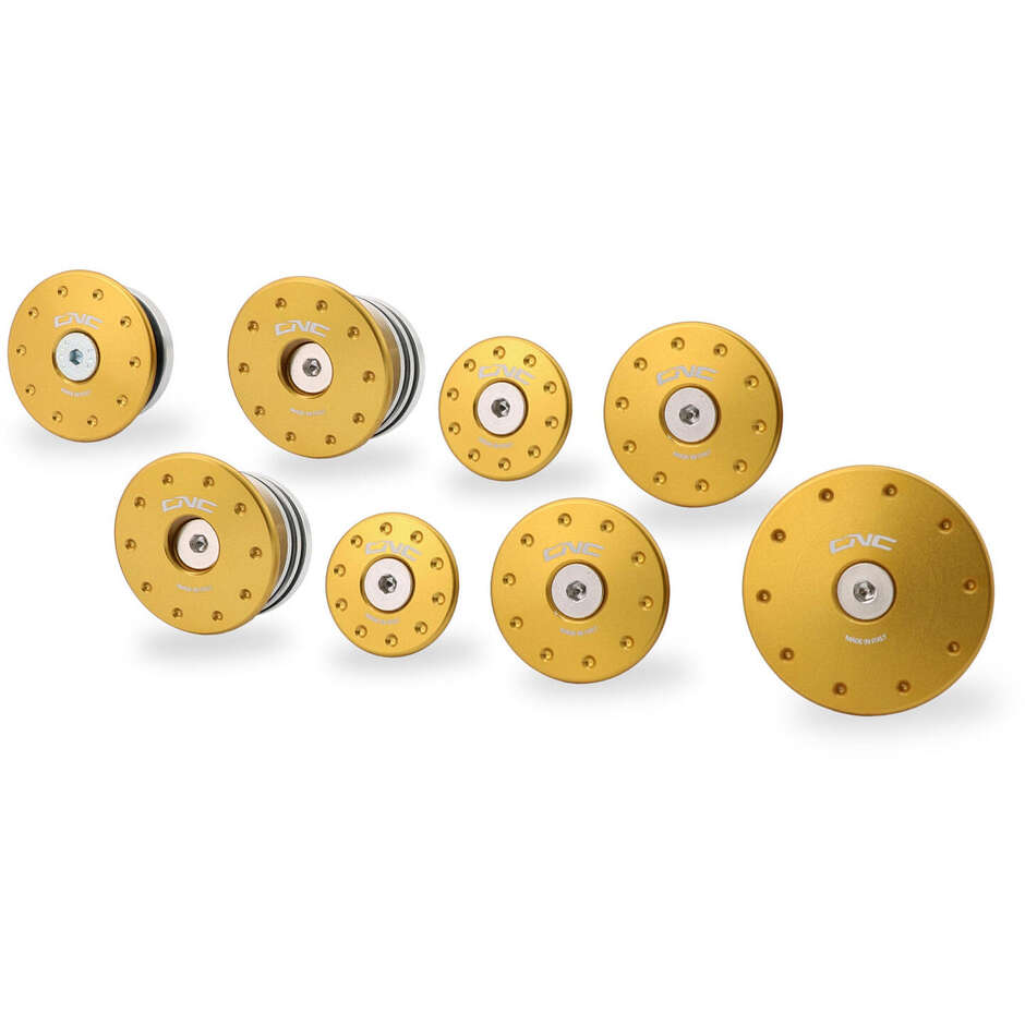 Ducati Monster 937 CNC Racing TT365 Gold frame cap kit
