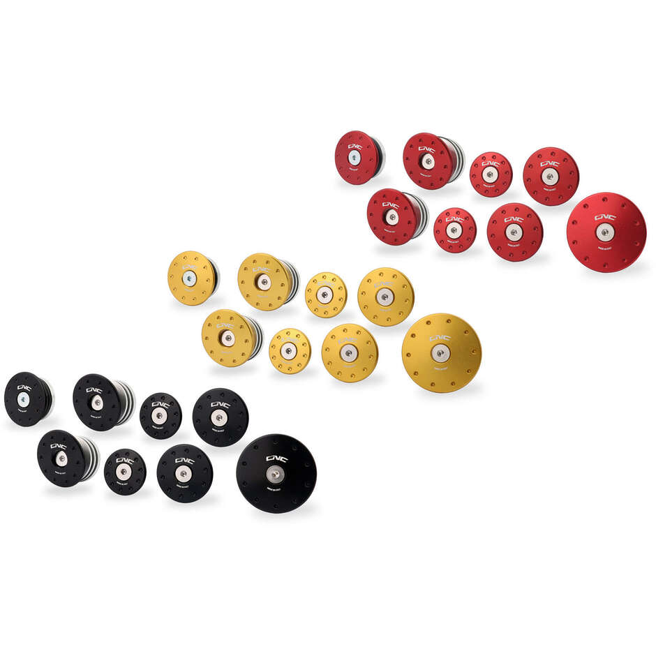 Ducati Monster 937 CNC Racing TT365 Gold frame cap kit
