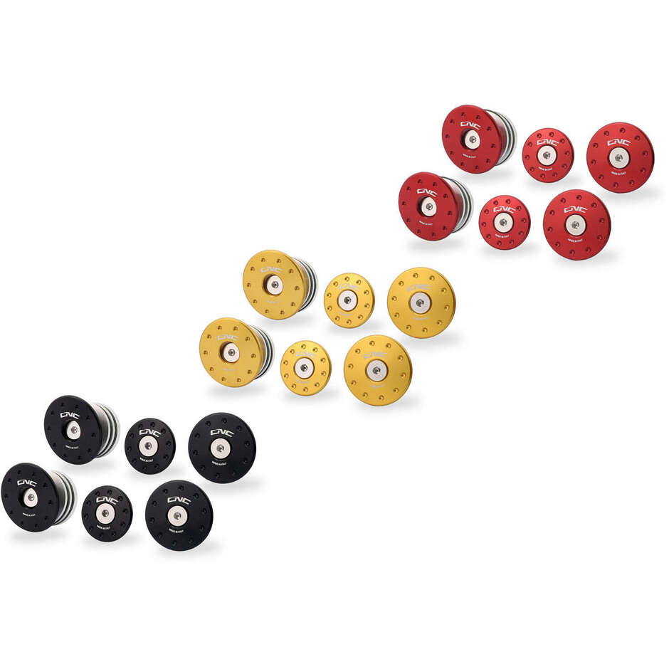 Ducati Monster 937 Frame Plug Kit (for TC325 Mounting) CNC Racing TT364 Gold