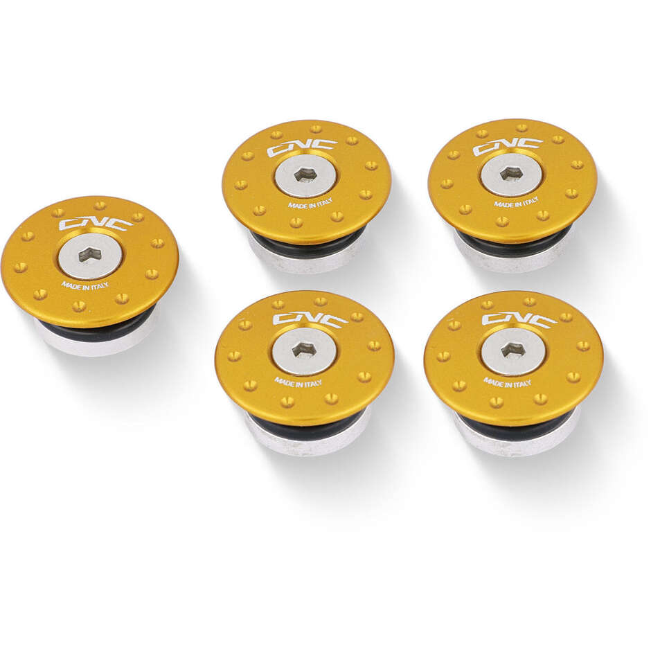Ducati Monster CNC Racing TT301 Gold Frame Caps