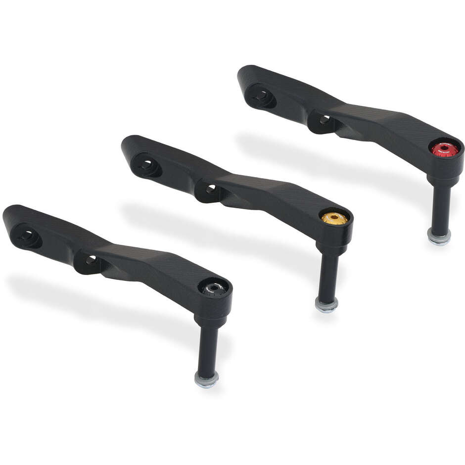 Kit montaggio pompe frizione Brembo RCS IFA03 Multistrada V4; Hypermotard 698 Mono CNC Racing Oro
