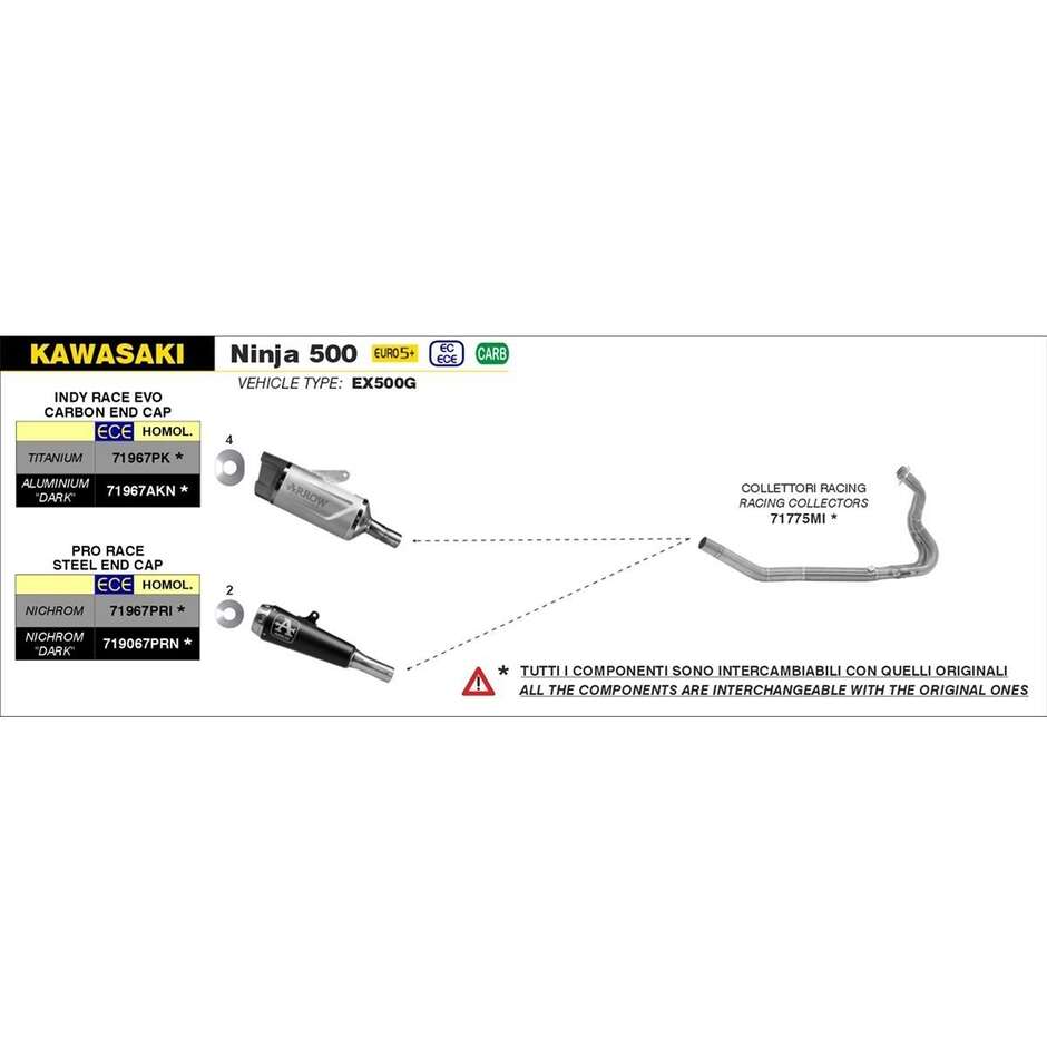 Terminale Arrow Pro-Race Nichrom Kawasaki Ninja Z 500